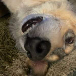 Meet your Posher, Nike